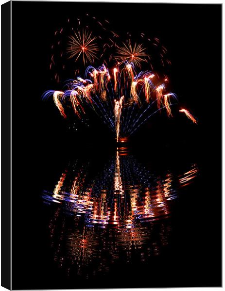 firework reflections Canvas Print by Heather Newton