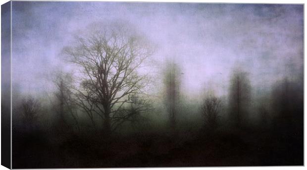 misty morning 2 Canvas Print by Heather Newton
