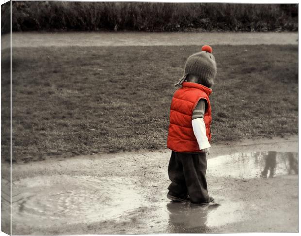 splashing in the puddles Canvas Print by Heather Newton