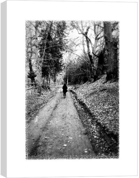 walking home 2 Canvas Print by Heather Newton