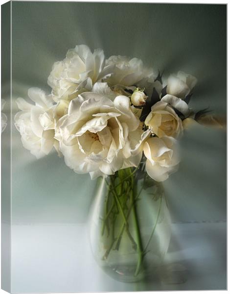 white rose posy Canvas Print by Heather Newton