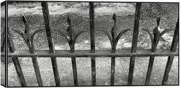 beyond the railings Canvas Print by Heather Newton