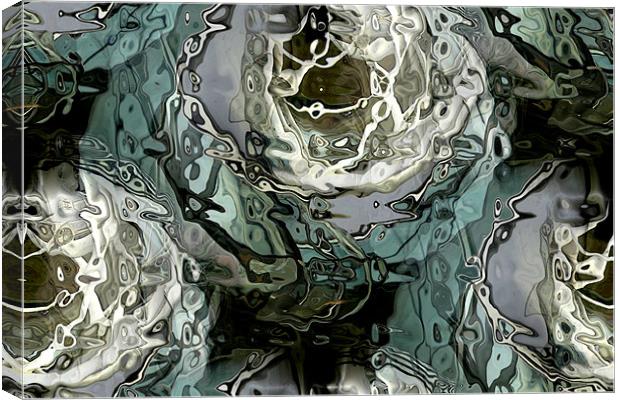 abstract reflections Canvas Print by Heather Newton