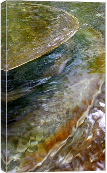 clear waters Canvas Print by Heather Newton