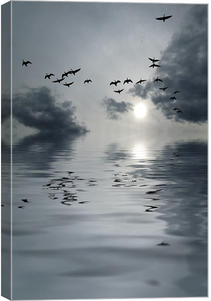 flying home Canvas Print by Heather Newton