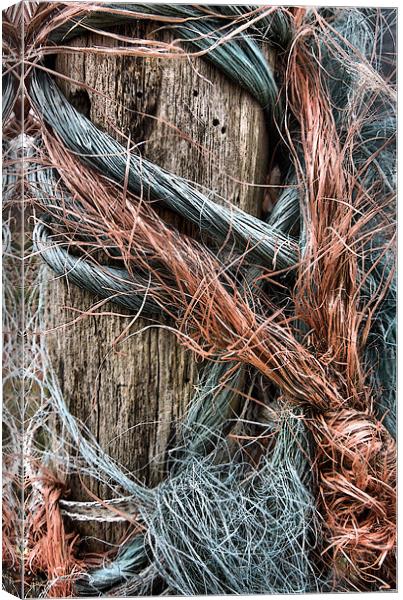a frayed knot Canvas Print by Heather Newton