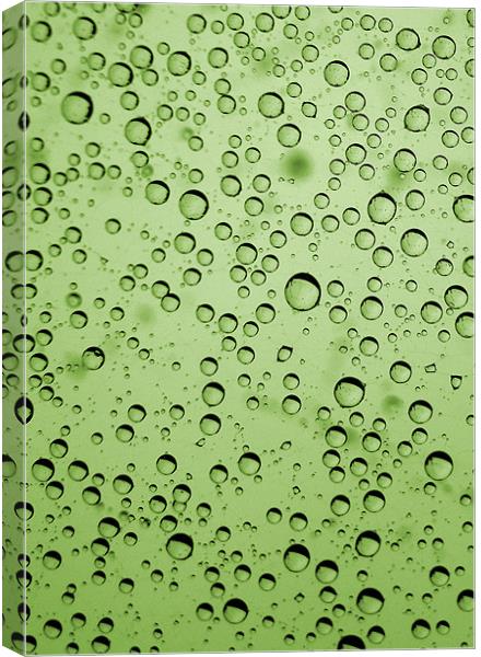 green bubbles Canvas Print by Heather Newton