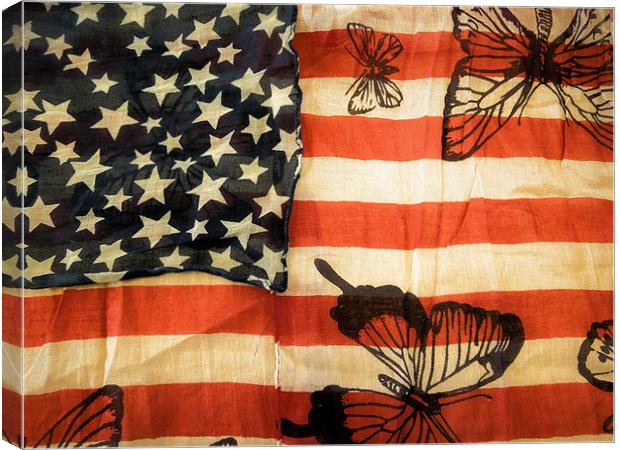 stars, stripes and butterflies Canvas Print by Heather Newton