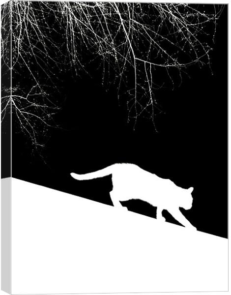 snow cat Canvas Print by Heather Newton