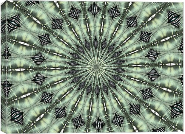 kaleidoscope complexity Canvas Print by Heather Newton