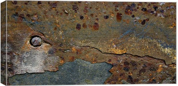 rusted landscape Canvas Print by Heather Newton