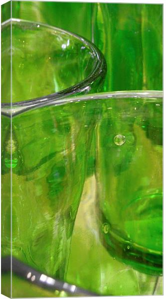 green glasses Canvas Print by Heather Newton