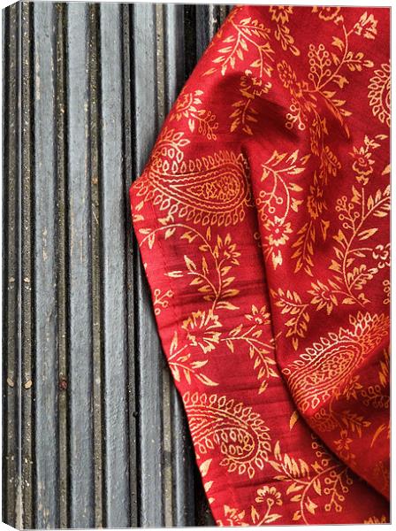 red sari Canvas Print by Heather Newton