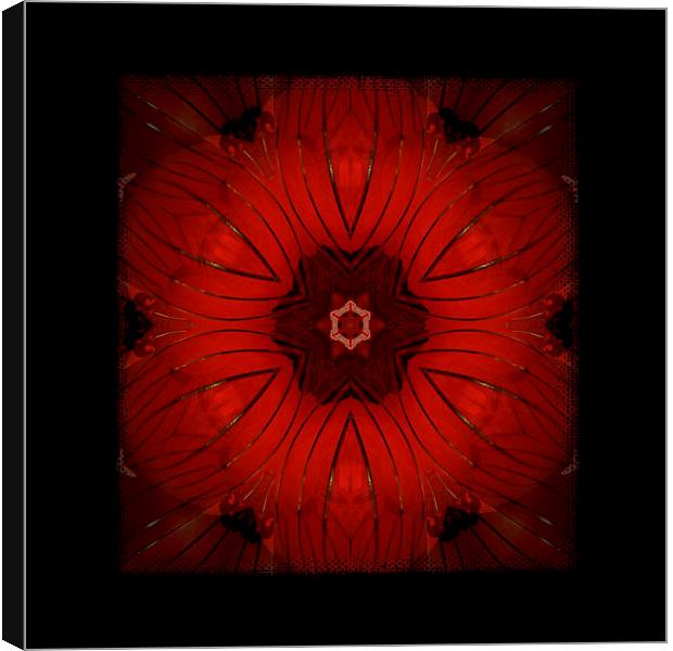 red kaleidoscope Canvas Print by Heather Newton