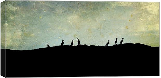 cormorants on a rock Canvas Print by Heather Newton