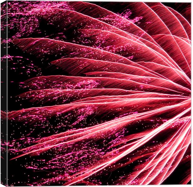 neon pink firework Canvas Print by Heather Newton