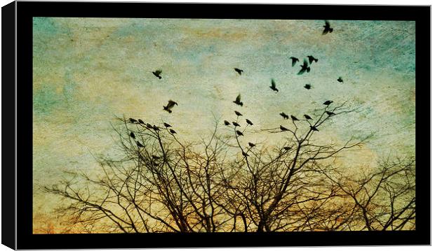 starlings Canvas Print by Heather Newton