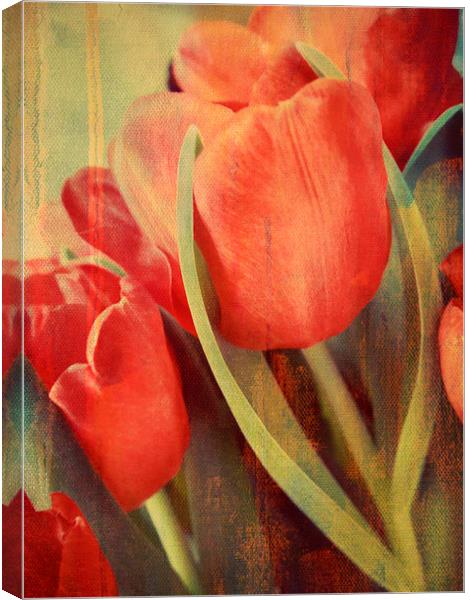 painted tulips Canvas Print by Heather Newton