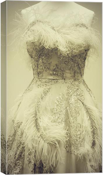 vintage beauty Canvas Print by Heather Newton