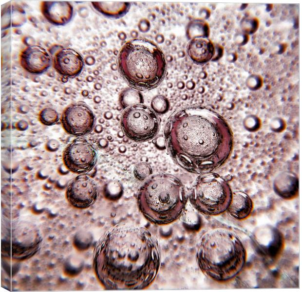 pink bubbly Canvas Print by Heather Newton