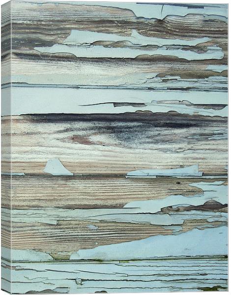 peeling paint - seaside blues Canvas Print by Heather Newton