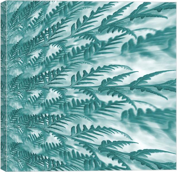 frosted fern Canvas Print by Heather Newton