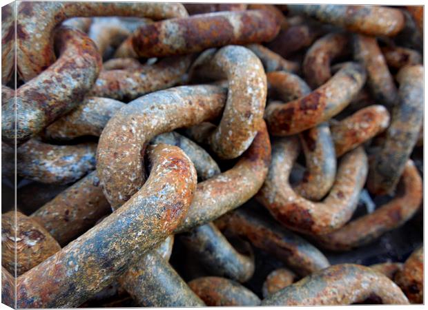 rusted chains Canvas Print by Heather Newton