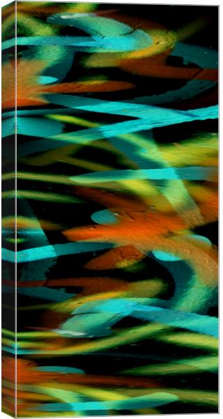 abstract graffiti panel Canvas Print by Heather Newton
