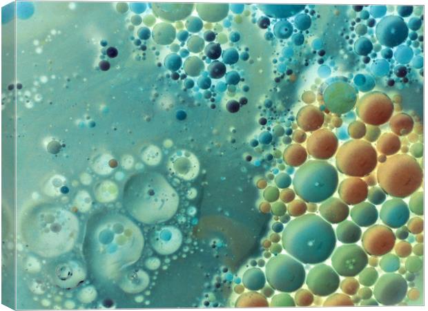 bubbles in aqua and amber Canvas Print by Heather Newton