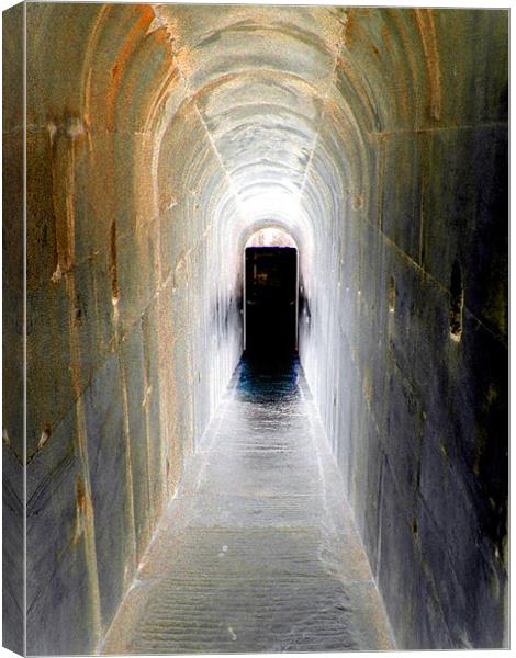 dark doorway Canvas Print by Heather Newton