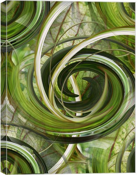 botanical swirls Canvas Print by Heather Newton