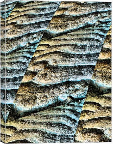 rippled seashore Canvas Print by Heather Newton