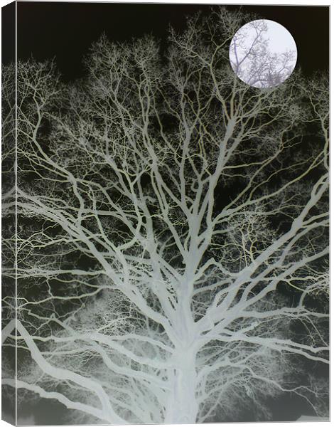 mist and moonlight Canvas Print by Heather Newton