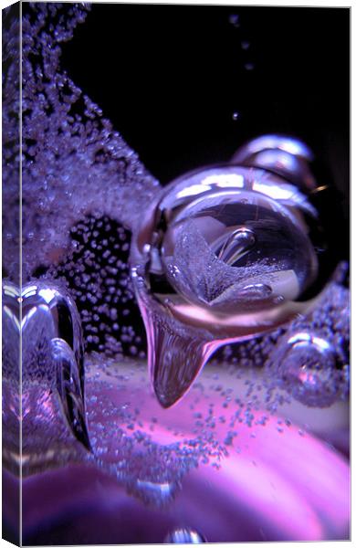 violet bubbles Canvas Print by Heather Newton