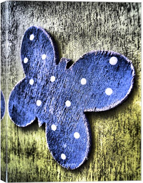 blue wooden butterfly Canvas Print by Heather Newton