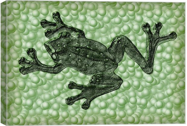 frog Canvas Print by Heather Newton