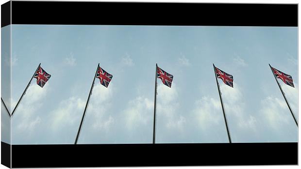 five flags Canvas Print by Heather Newton