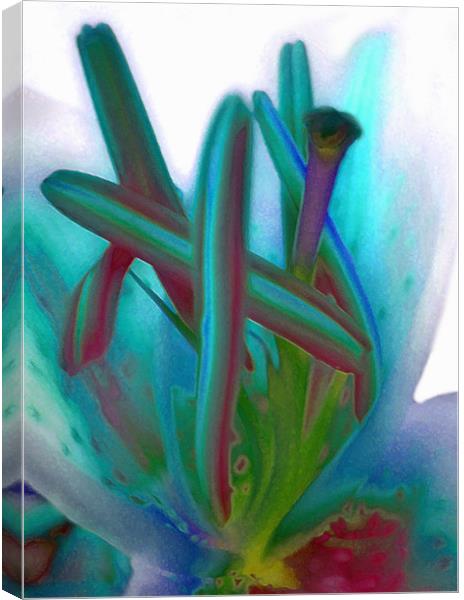 painted lily Canvas Print by Heather Newton