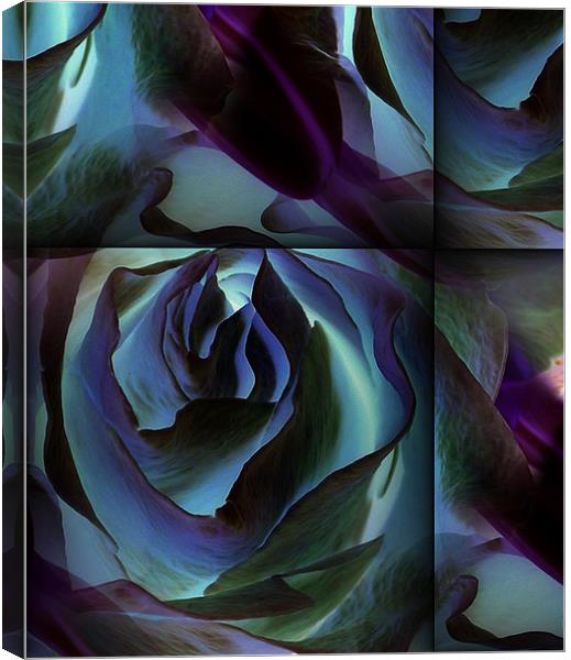 futuristic rose Canvas Print by Heather Newton