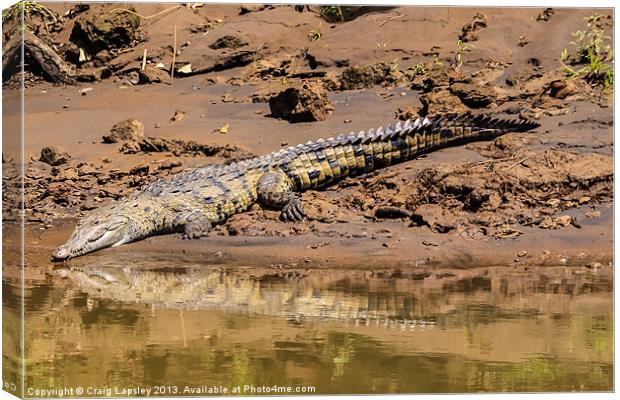 Huge crocodile resting on the riverbank Canvas Print by Craig Lapsley