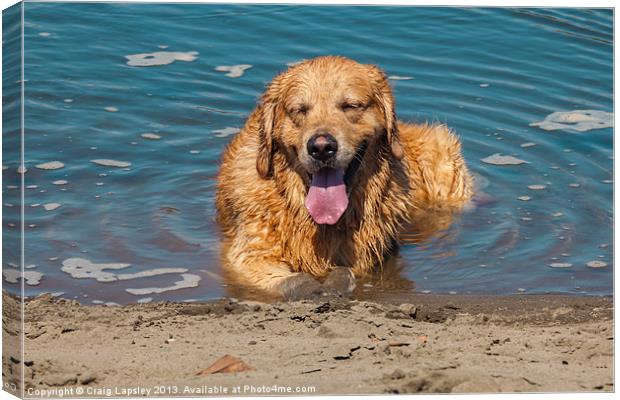 Dog sleeping in the river Canvas Print by Craig Lapsley