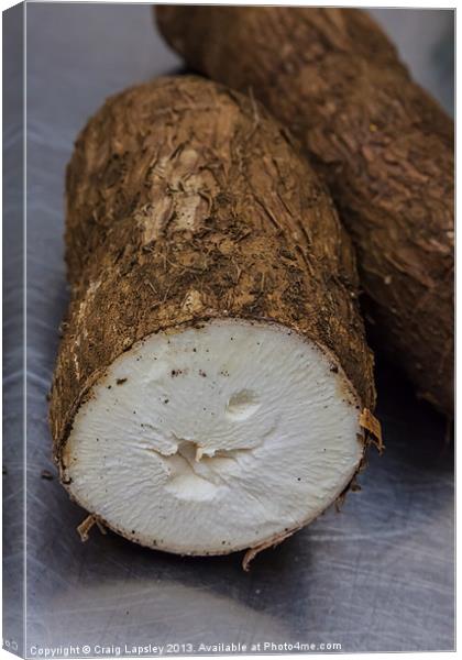 Yuca on the kitchen table Canvas Print by Craig Lapsley