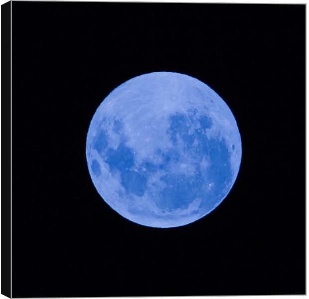 Blue moon Canvas Print by Craig Lapsley