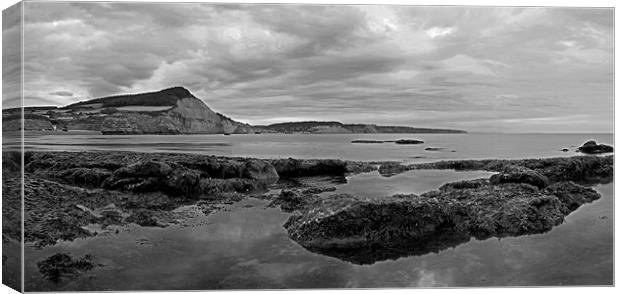 Ladram Bay and Sidmouth Canvas Print by Pete Hemington
