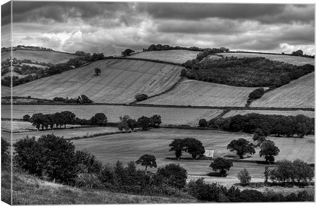 The Exe Valley Canvas Print by Pete Hemington