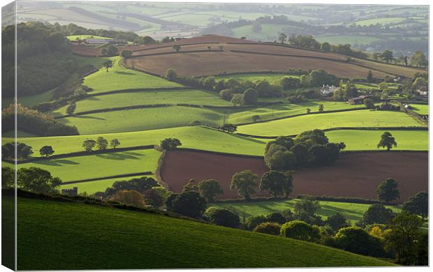Mid Devon fields Canvas Print by Pete Hemington