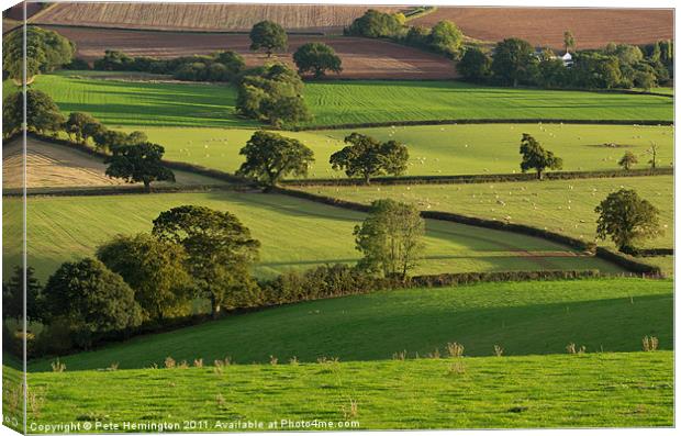 Mid Devon fields Canvas Print by Pete Hemington