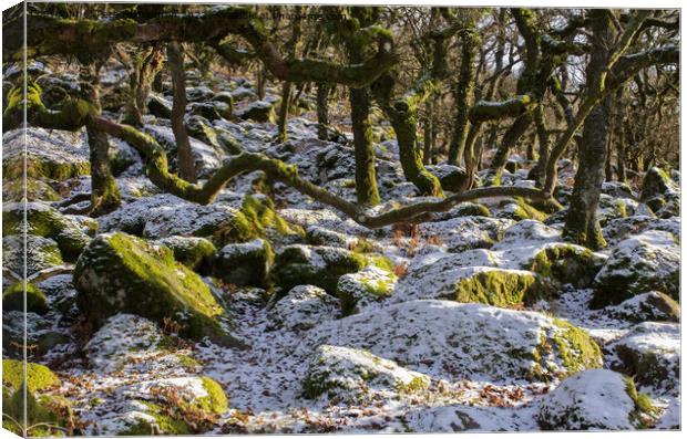 Black-a-Tor Copse Canvas Print by Pete Hemington