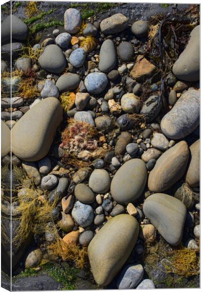 Pebblely beach Canvas Print by Pete Hemington