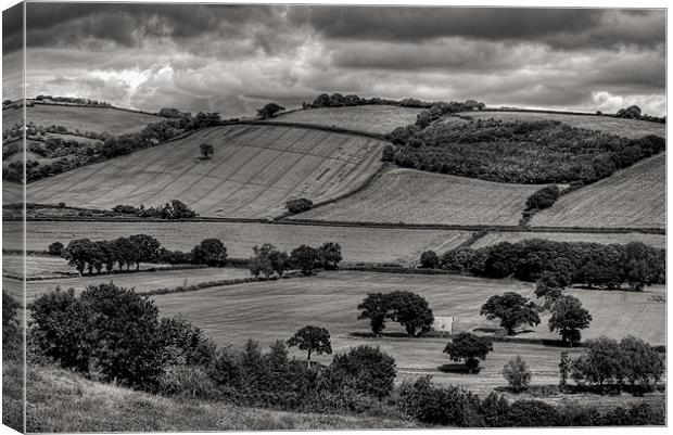 Field Mid Devon Canvas Print by Pete Hemington